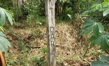 Tanah SHM Lokasi Strategis di Jl Lingkar Selatan