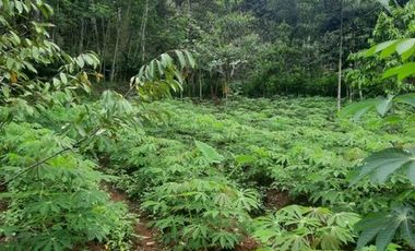 Tanah SHM Lokasi Strategis di Jl Lingkar Selatan