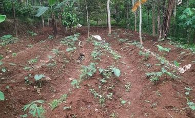 Tanah SHM Lokasi Strategis di Jl Lingkar Selatan