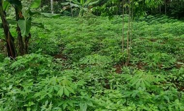 Tanah SHM Lokasi Strategis di Jl Lingkar Selatan