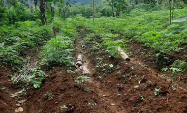 Tanah SHM Lokasi Strategis di Jl Lingkar Selatan