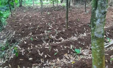 Tanah SHM Lokasi Strategis di Jl Lingkar Selatan