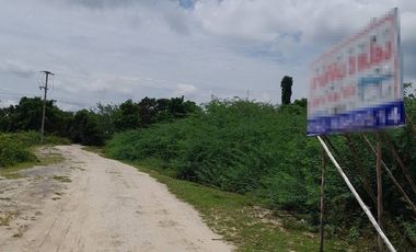 93758 - ขายที่ดิน2แปลง18ไร่85ตร.ว.และ3ไร่88ตร.ว.