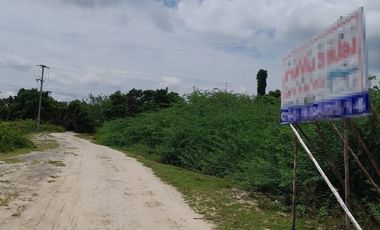 93758 - ขายที่ดิน2แปลง18ไร่85ตร.ว.และ3ไร่88ตร.ว.