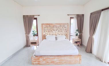 Homey and Luxury House in Canggu, Badung, Bali
