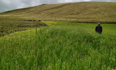 ✨ Se Vende Hacienda Histórica en Cotopaxi