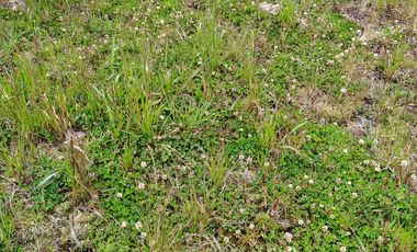 ✨ Se Vende Hacienda Histórica en Cotopaxi