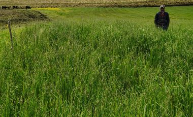 ✨ Se Vende Hacienda Histórica en Cotopaxi