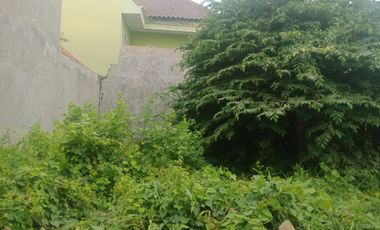 Tanah Manyarejo Manyar Gresik Dijual cepat B.U Poll 100 m Jl. Raya