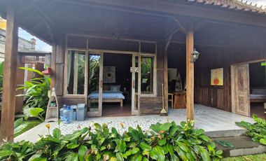 House for rent in Ubud near Goa Gajah