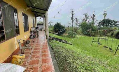 vendo granja porcina vía Quevedo La Reforma