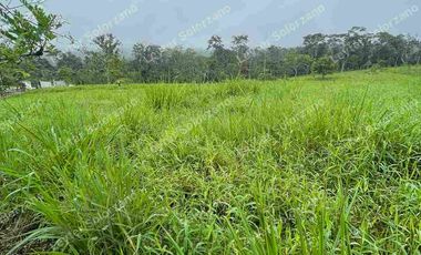 vendo granja porcina vía Quevedo La Reforma