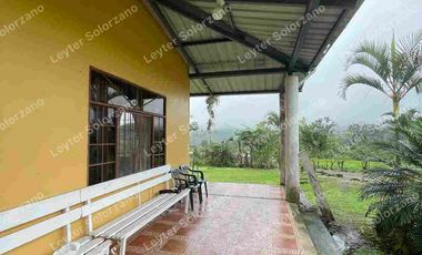 vendo granja porcina vía Quevedo La Reforma