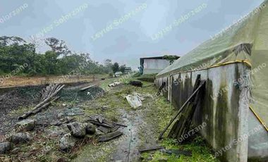 vendo granja porcina vía Quevedo La Reforma