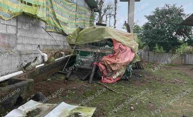 vendo granja porcina vía Quevedo La Reforma