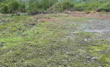 vendo granja porcina vía Quevedo La Reforma