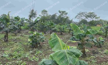 vendo granja porcina vía Quevedo La Reforma