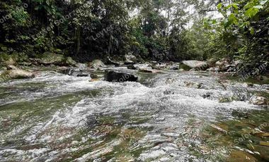 vendo granja porcina vía Quevedo La Reforma