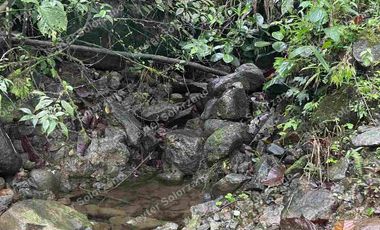 vendo granja porcina vía Quevedo La Reforma