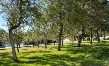 Casa de una planta amueblada en renta en Jardines del Campestre