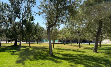 Casa de una planta amueblada en renta en Jardines del Campestre
