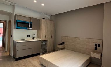 RENTA DEPTO SEMIACONDICIONADO FRENTE A BELLAS ARTES