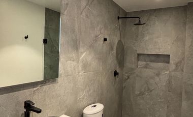 RENTA CARSO LA NACIONAL en el CENTRO HISTORICO frente a Bellas Artes