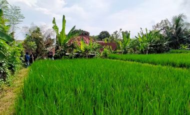 House and Garden Land for Sale – Glagah, Banyuwangi