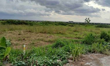 DIJUAL TANAH 1 JUTAAN STRATEGIS 5 HEKTARE DI BABELAN BEKASI