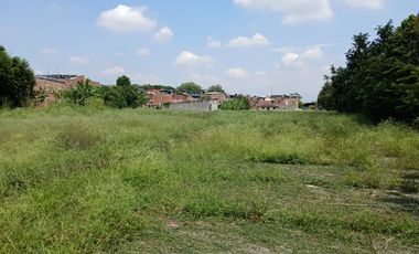 LOTE INDUSTRIAL CANDELARIA