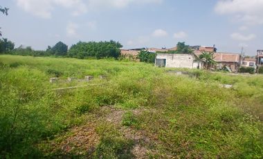 LOTE INDUSTRIAL CANDELARIA