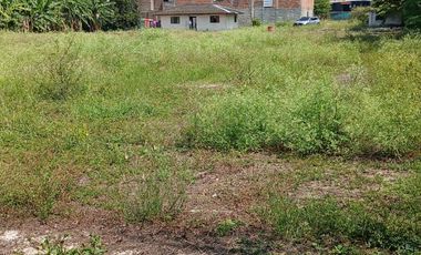 LOTE INDUSTRIAL CANDELARIA