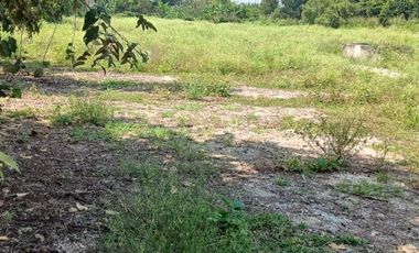 LOTE INDUSTRIAL CANDELARIA