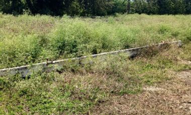 LOTE INDUSTRIAL CANDELARIA