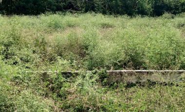 LOTE INDUSTRIAL CANDELARIA