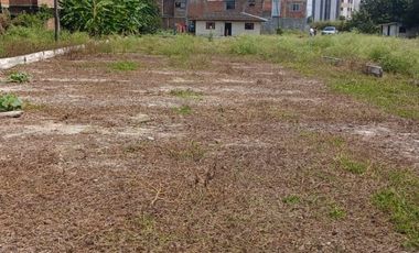 LOTE INDUSTRIAL CANDELARIA