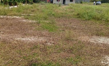 LOTE INDUSTRIAL CANDELARIA