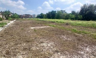 LOTE INDUSTRIAL CANDELARIA