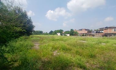 LOTE INDUSTRIAL CANDELARIA