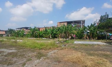 LOTE INDUSTRIAL CANDELARIA