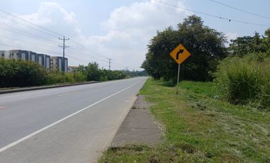 LOTE INDUSTRIAL CANDELARIA