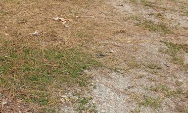 LOTE INDUSTRIAL CANDELARIA