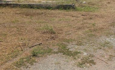 LOTE INDUSTRIAL CANDELARIA