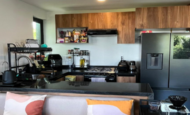 Pent-house en venta en Roma Sur, ideal para disfrutar de la tranquilidad y una hermosa vista arbolada.