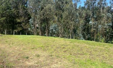 Terreno en venta sector Huertos Familiares Alangasí