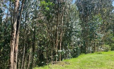 Terreno en venta sector Huertos Familiares Alangasí