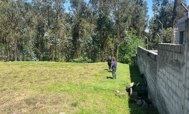 Terreno en venta sector Huertos Familiares Alangasí