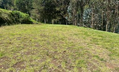 Terreno en venta sector Huertos Familiares Alangasí