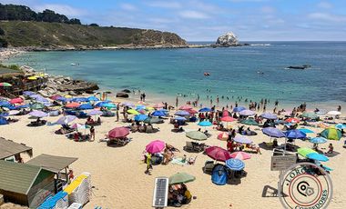 Departamento Vista al Mar Canelillo Algarrobo