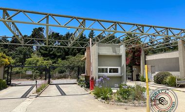 Departamento Vista al Mar Canelillo Algarrobo